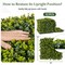2 Pack 32 Sq.Ft Faux Eucalyptus Hedge Panels 3" Thick Green Wall for Indoor Outdoor Decor